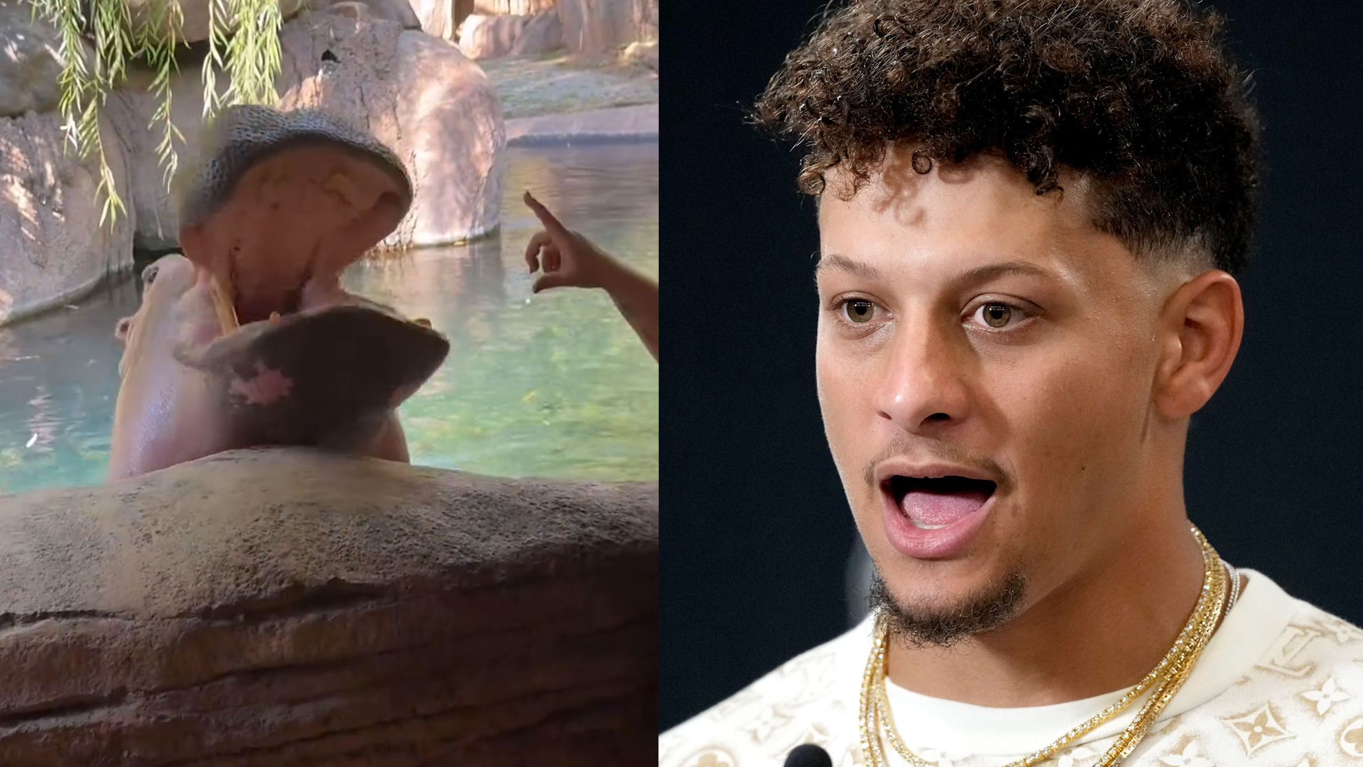 Patrick Mahomes shocked after close encounter with a wild animal during training session